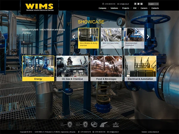 Wims interneto svetainės kūrimas